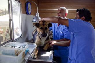 [foto de la noticia]