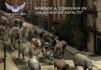 [foto de la noticia]