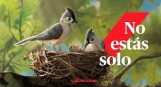 [foto de la noticia]