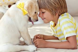 [foto de la noticia]