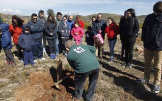 [foto de la noticia]