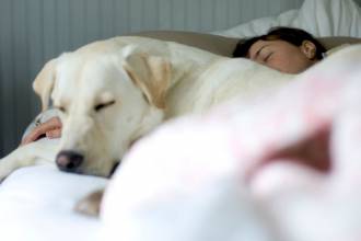 [foto de la noticia]