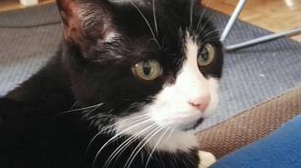 [foto de la noticia]