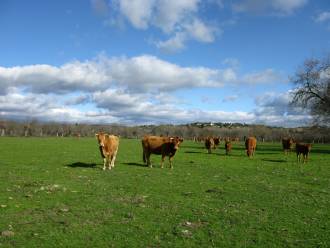[foto de la noticia]