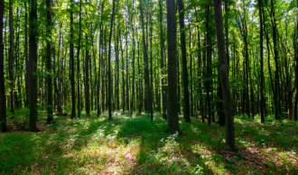 [foto de la noticia]