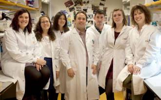 [foto de la noticia]