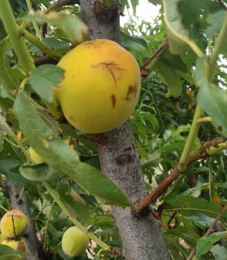 [foto de la noticia]