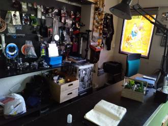 [foto de la noticia]