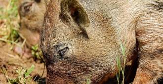 [foto de la noticia]