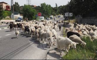 [foto de la noticia]