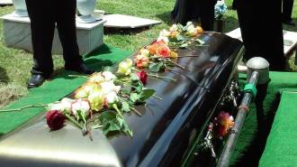 [foto de la noticia]