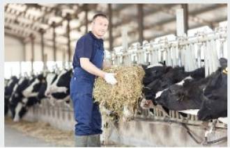 [foto de la noticia]