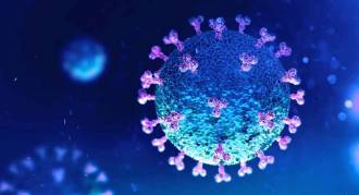 [foto de la noticia]