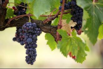 [foto de la noticia]