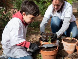 [foto de la noticia]