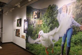 [foto de la noticia]