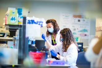 [foto de la noticia]