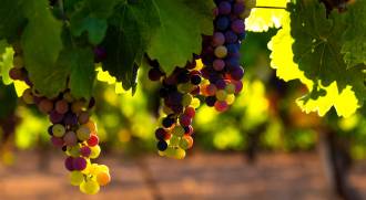 [foto de la noticia]