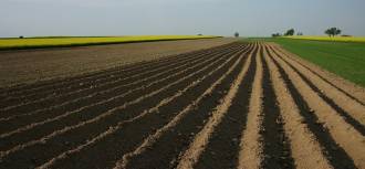 [foto de la noticia]