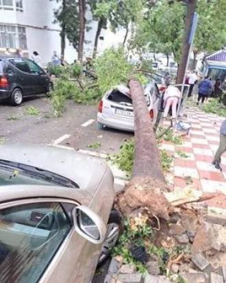 [foto de la noticia]