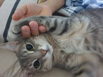 [foto de la noticia]