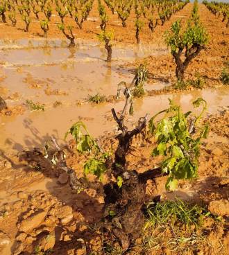 [foto de la noticia]