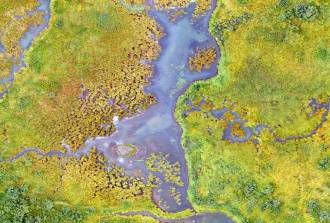 [foto de la noticia]