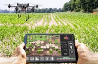 [foto de la noticia]