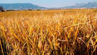 [foto de la noticia]