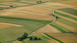 [foto de la noticia]