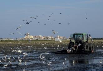 [foto de la noticia]