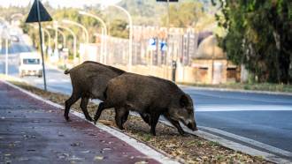 [foto de la noticia]